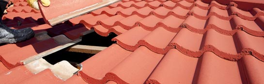 compare West Tarbert roof repair quotes