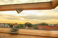 rated West Tarbert roof window companies